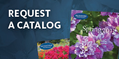 Bluestone Perennial Catalog Request