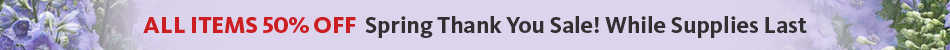 Spring Thank You Sitewide Sale