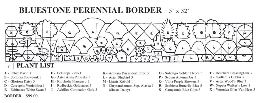Layout for Border Garden