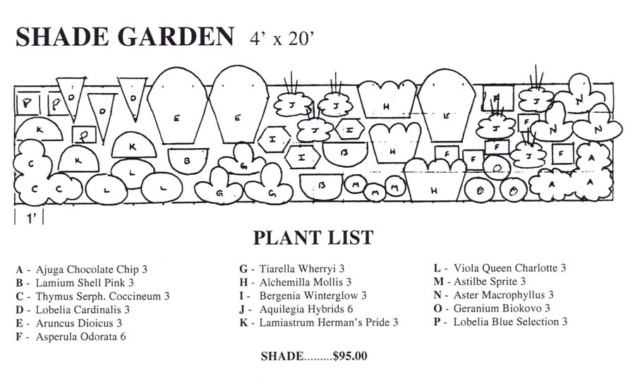 Layout for Shade Garden
