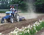 Summer Care (Weeding on Steroids)