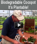 Bluestone Perennial Biodegradable Cocopot Video