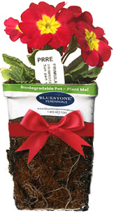 Gift Certificates