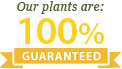 100% Guarantee