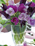 BULB Perfect Partners&reg; Plum Pudding
