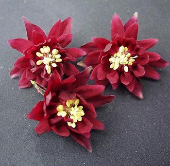 Double flowers of rich dark red.