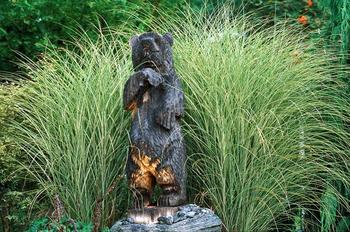 SILVER MAIDEN GRASS. 4'  - Wine colored stalk and silver striped leaves