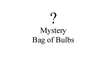 6 full bags of assorted bulbs - low cost!