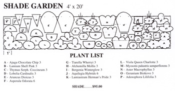 Over $210.00 worth of plants. 16 varieties, 54 plants.4' x 20'
