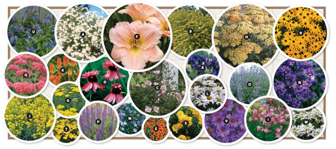 Over $210.00 worth of plants, 24 varieties, 24 plants, 5'x 12'