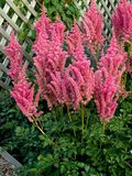 More Info