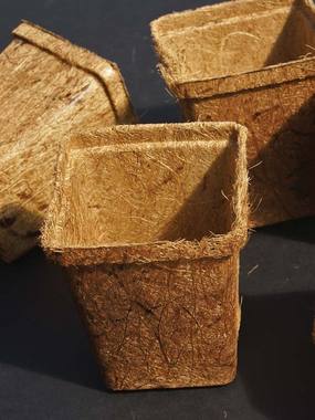 6 Coco Pot Biodegradable coconut fiber pots