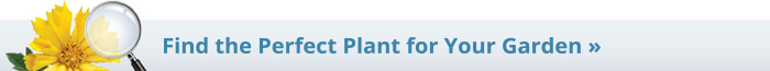 Find Your Plant