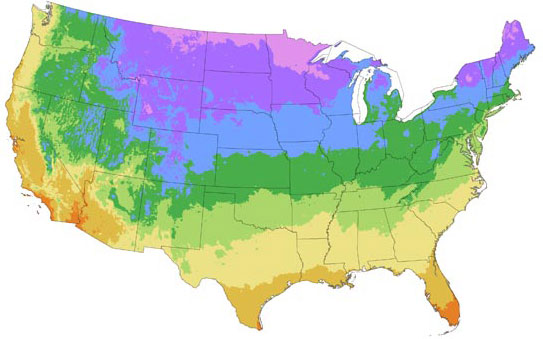 Bluestone Growing Zones