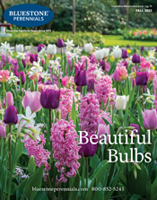 Catalog Request