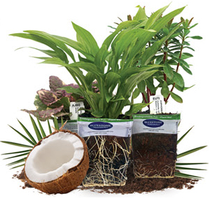About Plantable Pots