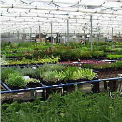 Our Retail Outlet