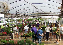 Picking area doubles as retail store Picking area doubles as retail store