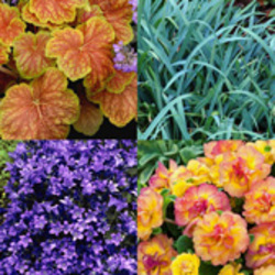 Container Combinations