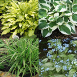 Pre-planned Gardens