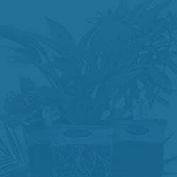 Emailed Gift Certificate Emailed Gift Certificate