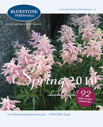 Bluestone Perennials