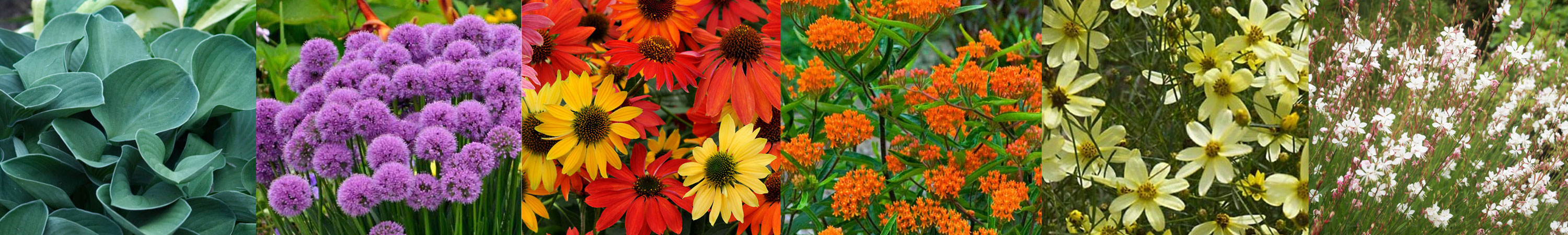 Build Your Own Garden