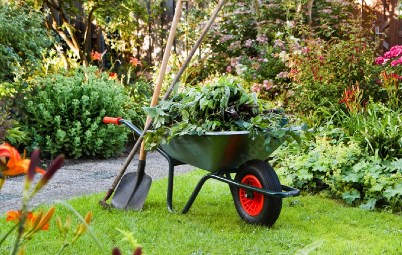 Gardening 101