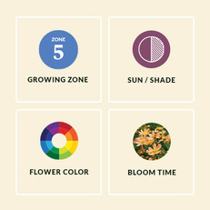 Plant Finder