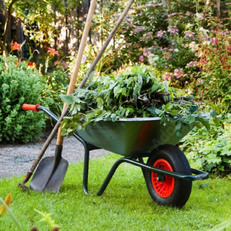 Gardening Tips & Tricks