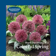 Request a Catalog