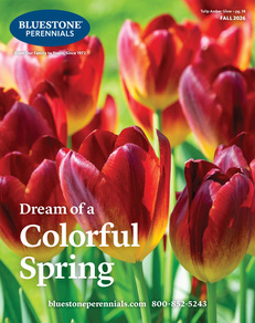 Request a Catalog