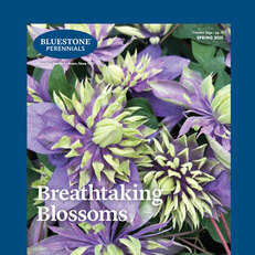 Request a Catalog
