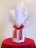 Amaryllis Double Dream
