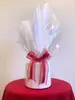 Amaryllis Double Dream