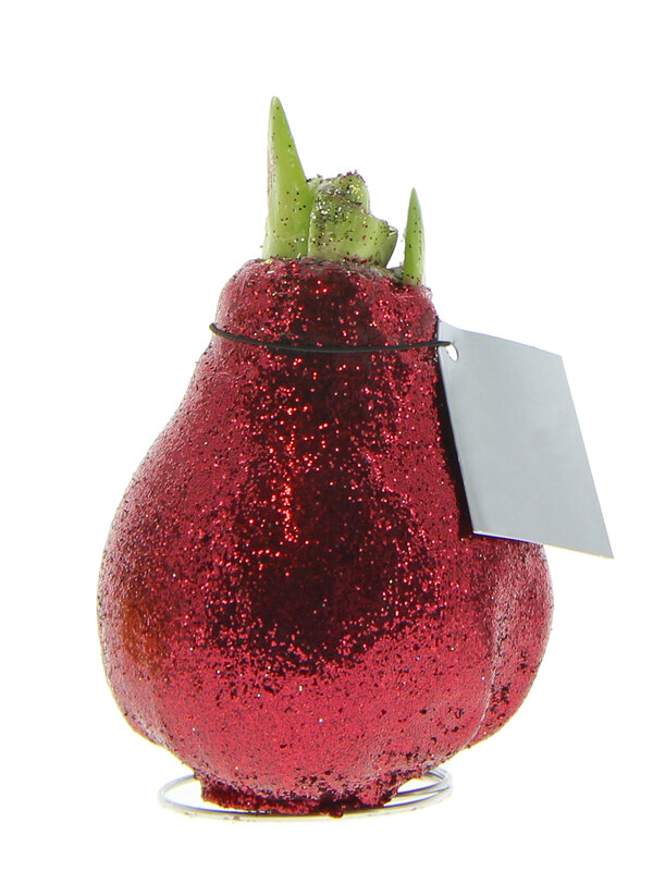 Amaryllis Red Glitter Wax