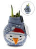 Amaryllis Snowman Fashion Wax