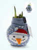 Amaryllis Snowman Fashion Wax