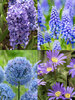 Bees and Butterflies Blue Collection