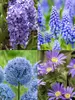 Bees and Butterflies Blue Collection