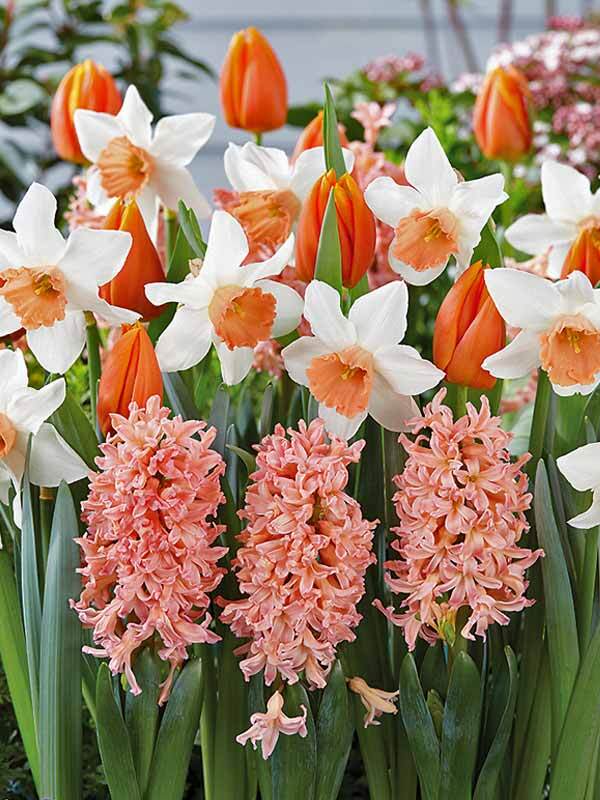 Beautiful Blends Oh So Sweet