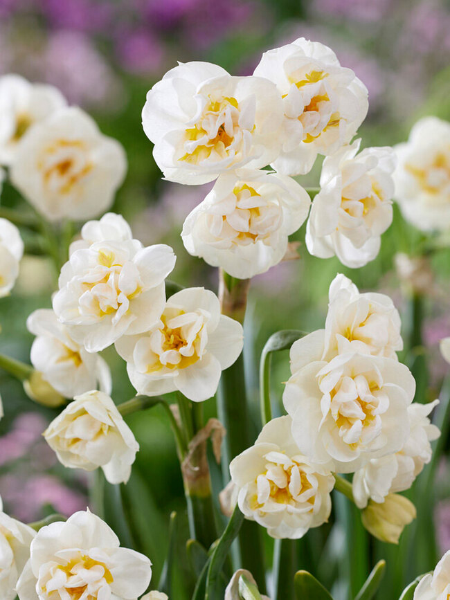 Daffodil Bridal Crown