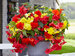 Perfect Partners Begonia Sunny Balcony