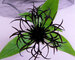 Centaurea Black Sprite