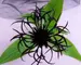 Centaurea Black Sprite