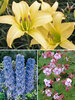 Cottage Garden Collection