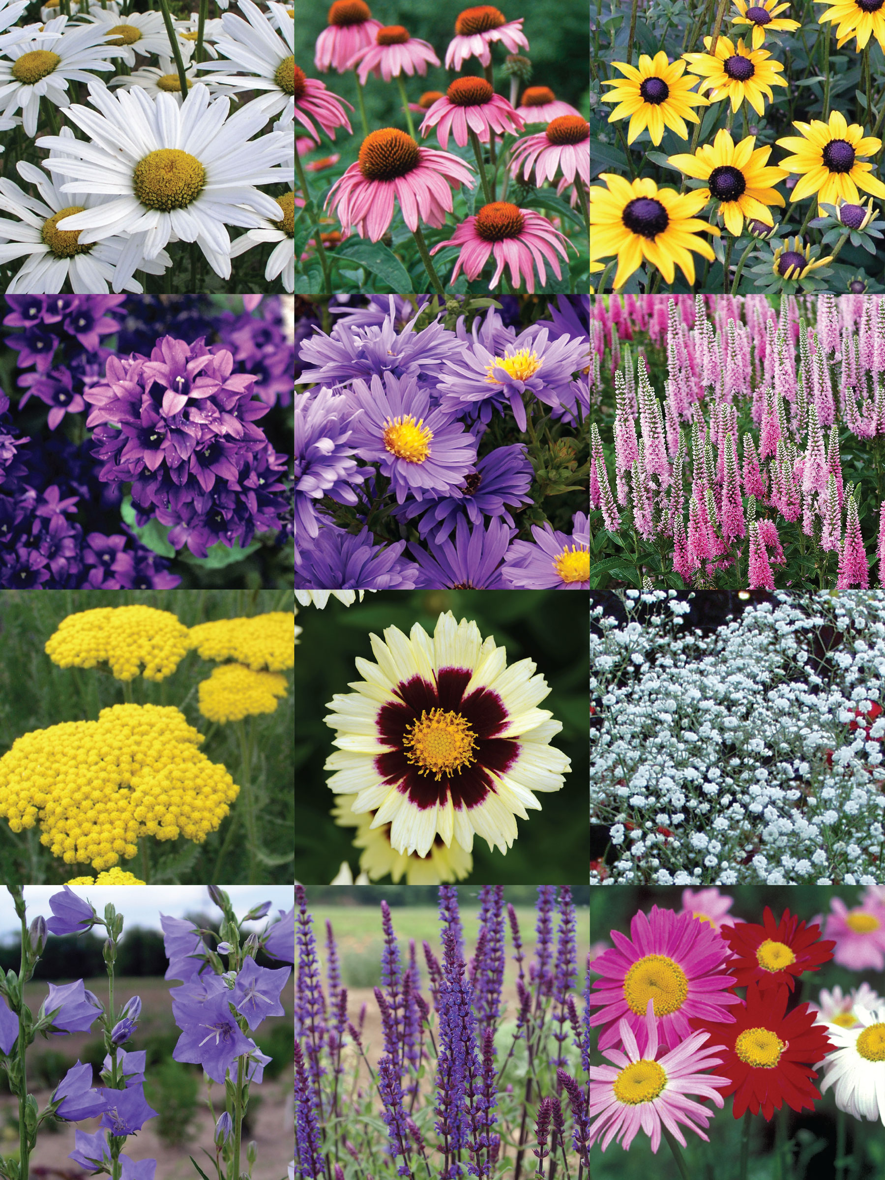 CUTGD_0_Deluxe_Cutting_Garden_