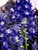 Delphinium Aurora Deep Purple