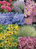 Colorful Fall Garden