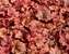 Heucherella Copper Cascade